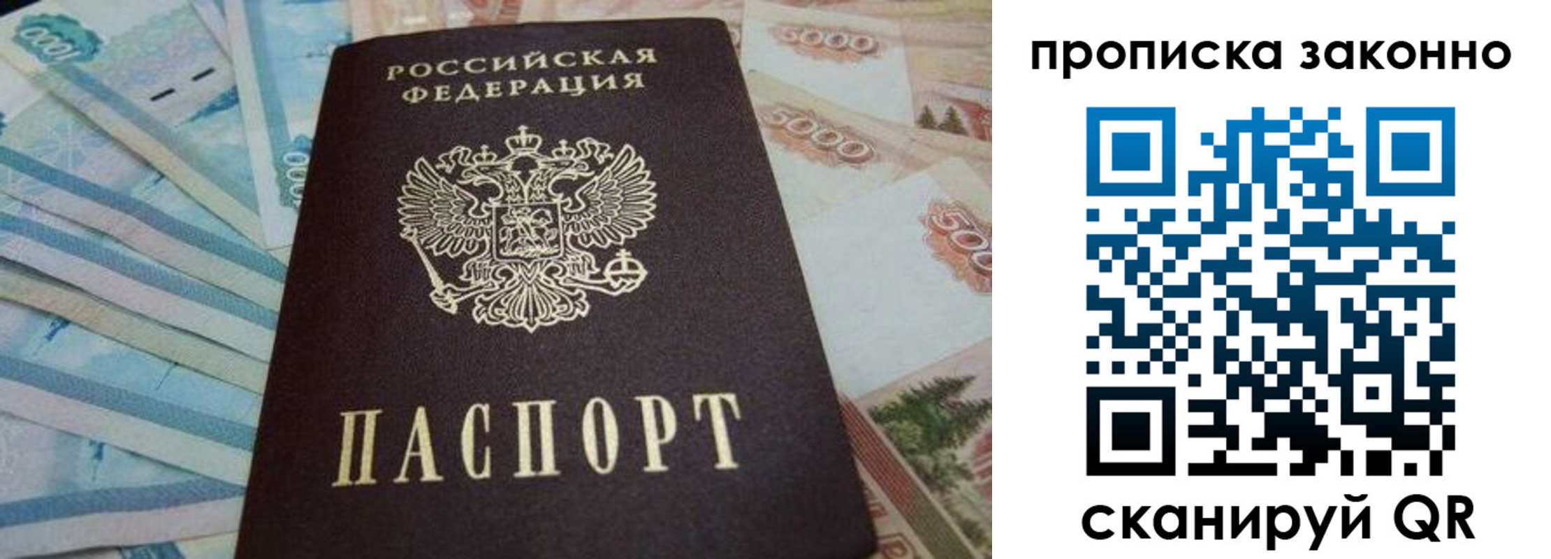 прописка для работы в Болотном